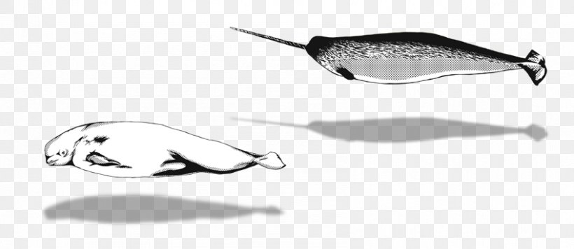 Spoon Lure Line Product Design Recreation, PNG, 848x369px, Spoon Lure, Black And White, Fish, Fishing Bait, Fishing Lure Download Free