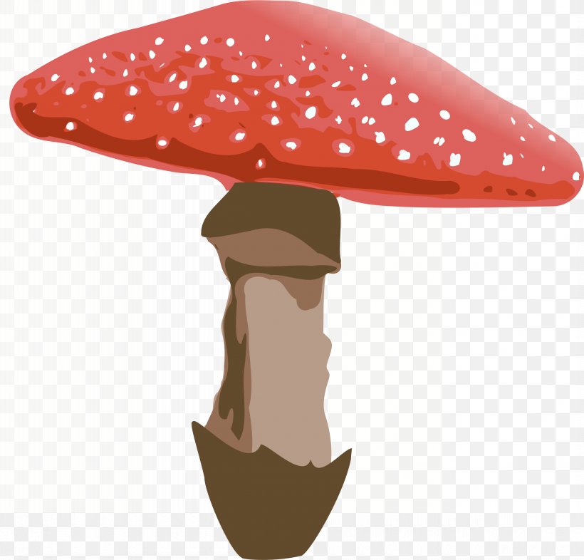 Amanita Muscaria Mushroom Fungus Clip Art, PNG, 2400x2302px, Amanita Muscaria, Amanita, Cap, Coreldraw, Fashion Accessory Download Free