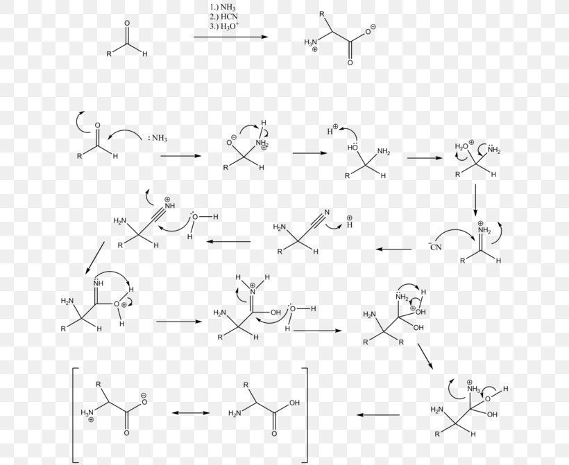 Drawing White Point Angle Strecker Amino Acid Synthesis, PNG, 650x671px, Drawing, Area, Black And White, Diagram, Monochrome Download Free