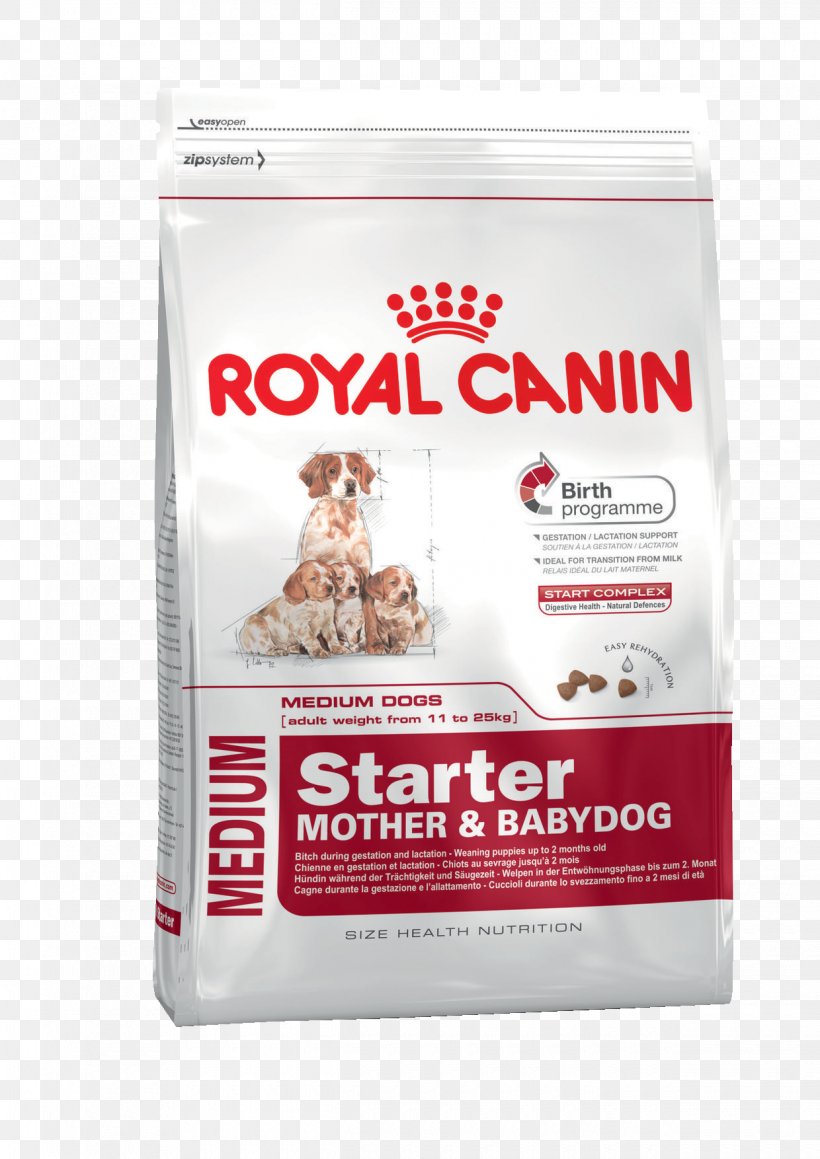 Puppy English Cocker Spaniel Pug Boxer Dog Food, PNG, 1240x1754px, Puppy, Beagle, Boxer, Breed, Bulldog Download Free