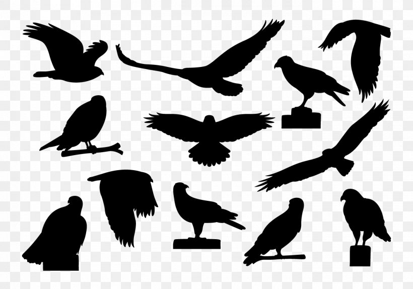 Vulture Fauna Font Silhouette Beak, PNG, 1400x980px, Vulture, Beak, Bird, Bird Of Prey, Blackandwhite Download Free