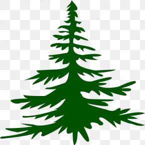 Christmas Tree Christmas Ornament Fir, PNG, 6323x6065px, Borders And ...