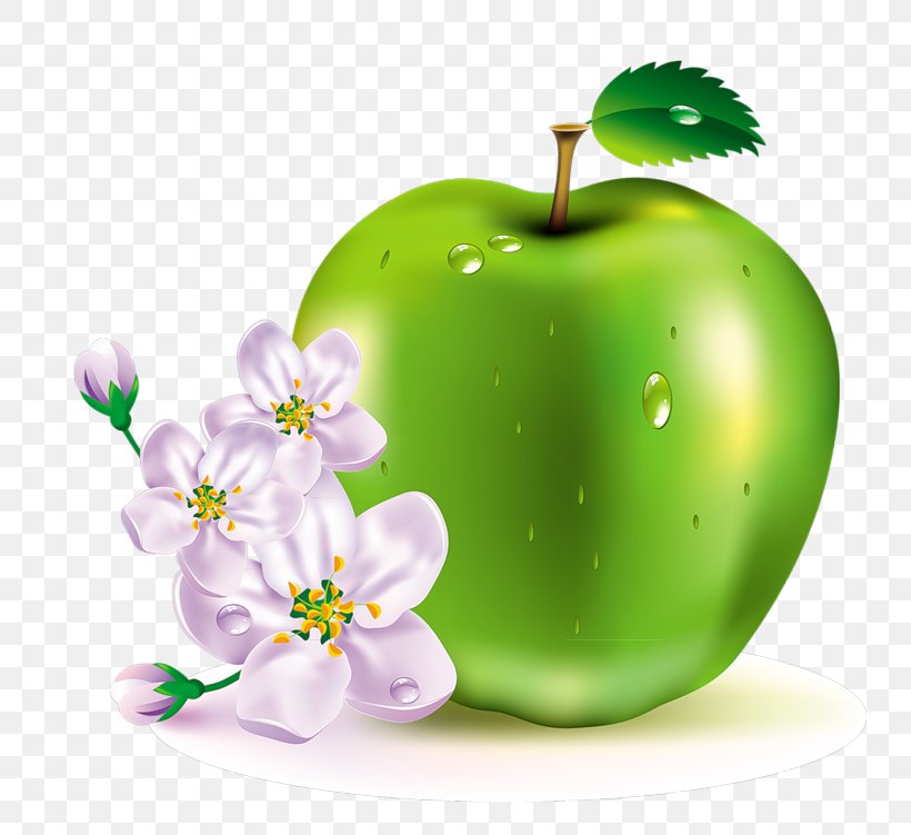 Clip Art Apple Fruit Image, PNG, 800x751px, Apple, Citrus, Color, Drawing, Food Download Free