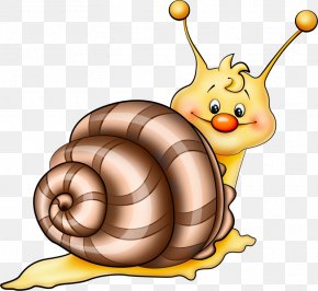 Snail Drawing Molluscs Clip Art, PNG, 940x568px, Snail, Area, Artwork ...