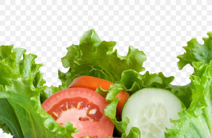 Greek Salad Potato Salad Vegetable, PNG, 848x555px, Greek Salad, Diet Food, Dish, Food, Fruit Download Free
