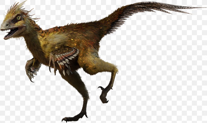 Hesperonychus Velociraptor Tyrannosaurus Bambiraptor Archaeopteryx, PNG, 1227x733px, Hesperonychus, Alphadon, Archaeopteryx, Bambiraptor, Dinosaur Download Free