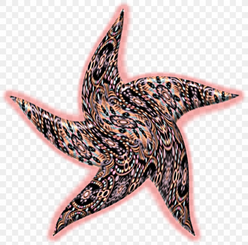 Starfish Echinoderm, PNG, 850x841px, Starfish, Brooch, Echinoderm, Fashion Accessory, Marine Invertebrates Download Free