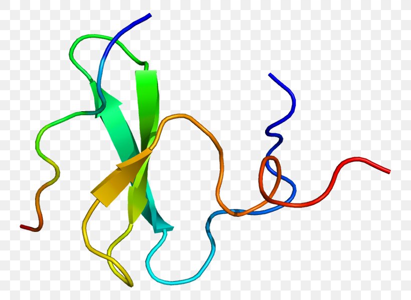 YAP1 Protein Oncogene Cancer, PNG, 791x599px, Protein, Area, Artwork, Cancer, Cell Download Free