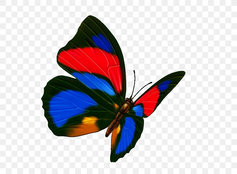 Butterfly Transparency And Translucency Icon, PNG, 600x600px, Butterfly, Arthropod, Brush Footed Butterfly, Ico, Insect Download Free