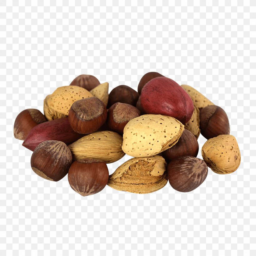 Hazelnut Praline Mixed Nuts Tree Nut Allergy Chocolate, PNG, 1024x1024px, Hazelnut, Chocolate, Food, Ingredient, Mixed Nuts Download Free