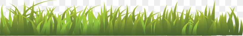 Herbaceous Plant PhotoScape, PNG, 3510x530px, Photoscape, Digital Image, Digital Media, Donald Trump, Grass Download Free