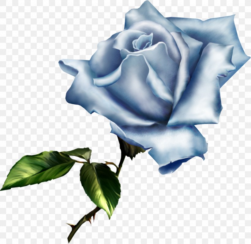 Rose Flower Clip Art, PNG, 1853x1805px, Rose, Blue, Blue Rose, Cut Flowers, Flower Download Free