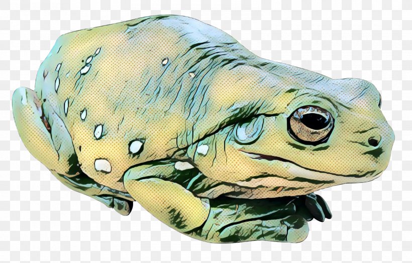 True Frog Toad Turtle Tree Frog, PNG, 1600x1023px, True Frog, Amphibian, Animal, Bufo, Bullfrog Download Free