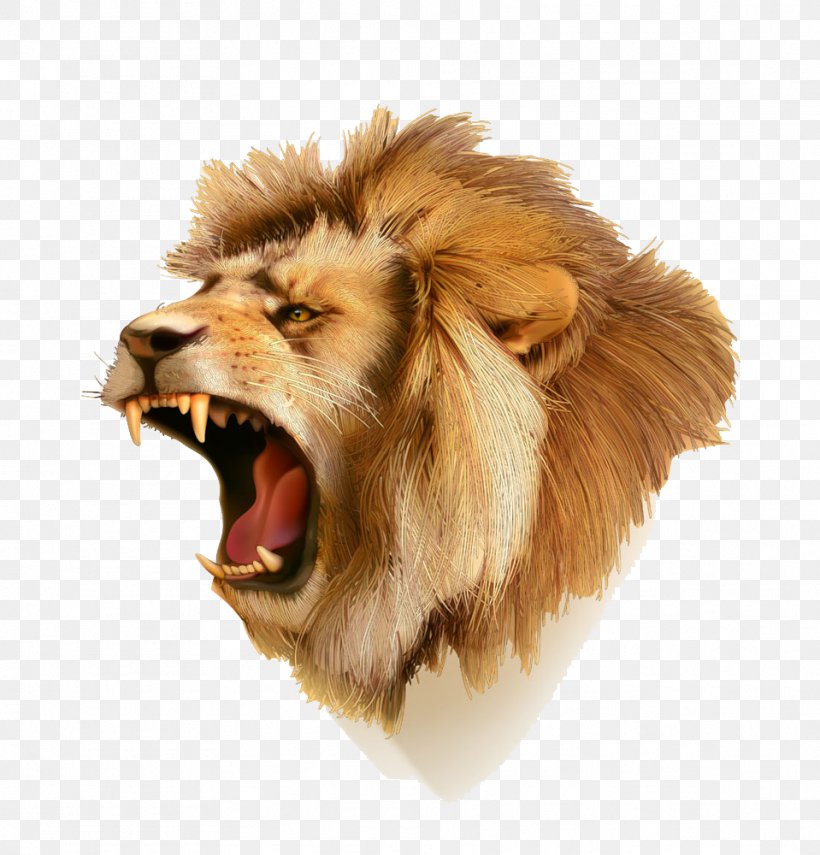 Lion Tiger Icon, PNG, 959x1000px, Lionhead Rabbit, Big Cats, Carnivoran, Cat Like Mammal, Drawing Download Free