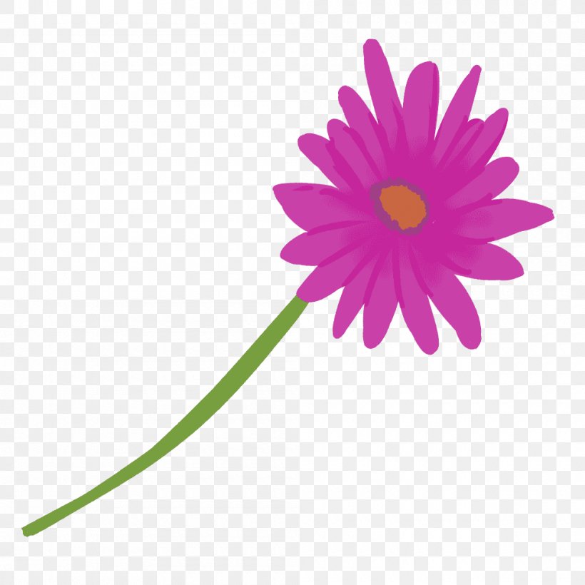 Transvaal Daisy Graphics Illustration Image Purple, PNG, 1000x1000px, Transvaal Daisy, Barberton Daisy, Book Illustration, Botany, Chamomile Download Free