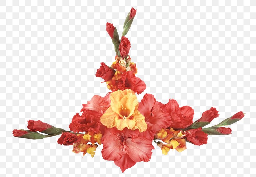 Desktop Wallpaper Gladiolus Flower Bouquet Photography, PNG, 800x569px, Gladiolus, Artificial Flower, Blossom, Blume, Branch Download Free