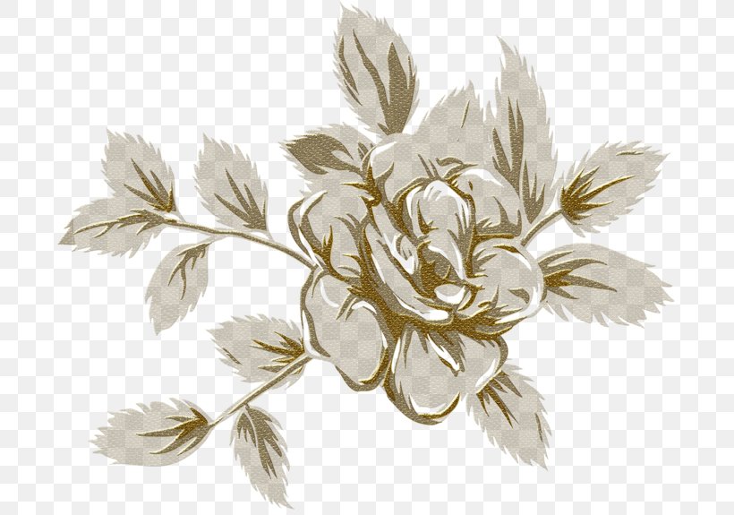 Flower Clip Art, PNG, 699x575px, Flower, Branch, Digital Image, Drawing, Floral Design Download Free
