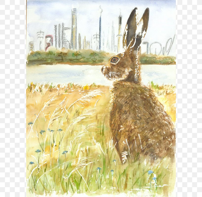 Hare Painting Fauna Wildlife Tail, PNG, 800x800px, Hare, Fauna, Flora, Grass, Grass Family Download Free