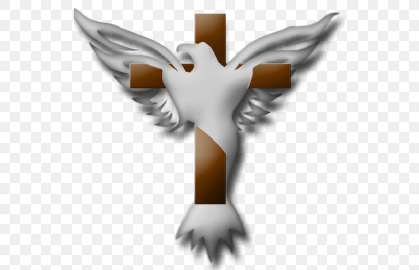 Phoenix Tabernacle-Latin Amer Video YouTube TV YouTube Premium, PNG, 530x530px, Video, Beak, Bird, Bird Of Prey, Cross Download Free