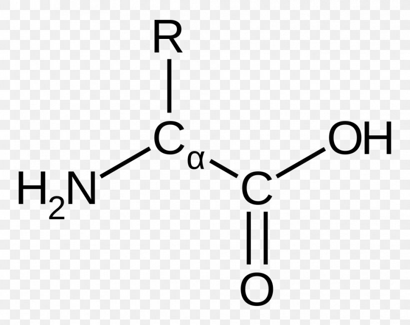 Amino Acid Carbamoyl Phosphate EPSP Synthase Functional Group, PNG, 966x768px, Amino Acid, Acid, Area, Brand, Carbamoyl Phosphate Download Free