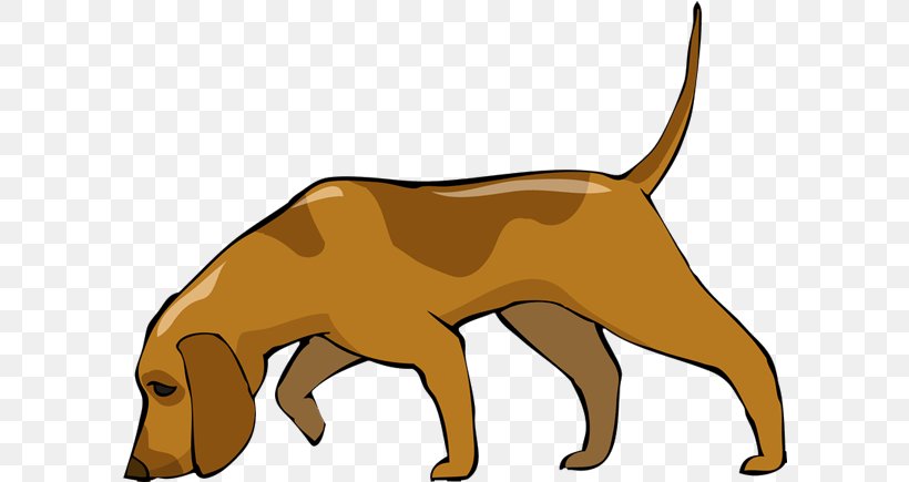 Bloodhound Basset Hound Greyhound Afghan Hound, PNG, 600x435px, Bloodhound, Afghan Hound, Basset Hound, Big Cats, Carnivoran Download Free