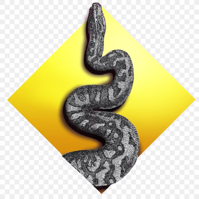 Programming Python Learning Python: Powerful Object-Oriented Programming Python Tutorial, PNG, 1024x1024px, Programming Python, Book, Computer Program, Computer Programming, Crossplatform Download Free
