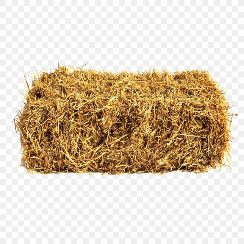Straw Bale Hay Sheep Wheat, PNG, 982x981px, Straw, Almindelig Rug, Bala De Palla, Bovinicoltura, Building Materials Download Free