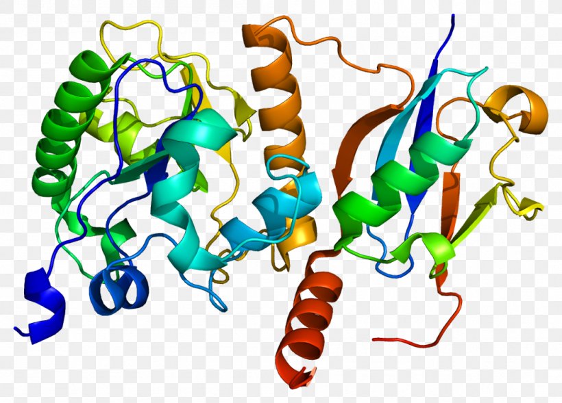 Thymine-DNA Glycosylase BRCA2, PNG, 1051x755px, Thymine, Area, Artwork, Dna, Enzyme Download Free