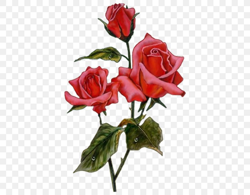 Garden Roses Image Portable Network Graphics Flower Centerblog, PNG, 435x640px, 2018, Garden Roses, Artificial Flower, Blog, Bud Download Free