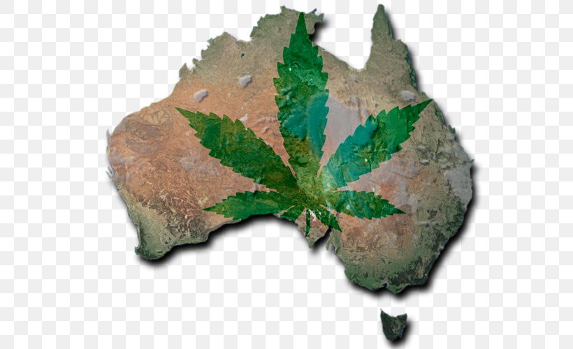 Medical Cannabis Norfolk Island World Map Flag Of Australia, PNG, 585x500px, Medical Cannabis, Australia, Blank Map, Cannabis, Flag Of Australia Download Free