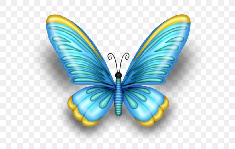 Monarch Butterfly Brush-footed Butterflies Paper Roll Art, PNG, 600x520px, Monarch Butterfly, Art, Blue, Borboleta, Brushfooted Butterflies Download Free