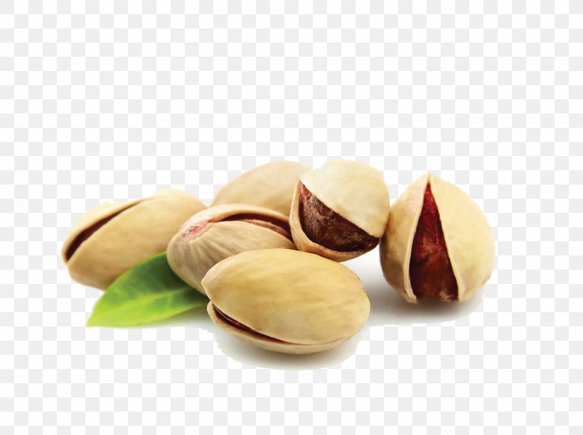 Pistachio Cannoli Nut Clip Art, PNG, 1400x1048px, Pistachio, Anacardiaceae, Cannoli, Cashew, Dried Fruit Download Free