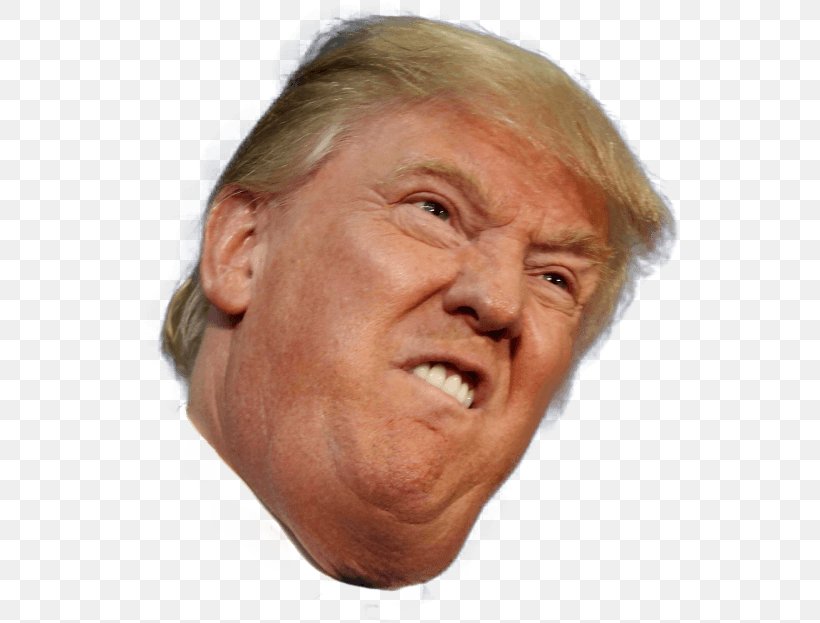 Presidency Of Donald Trump United States Funny Face, PNG, 540x623px, Donald Trump, Caricature, Cheek, Chin, Close Up Download Free
