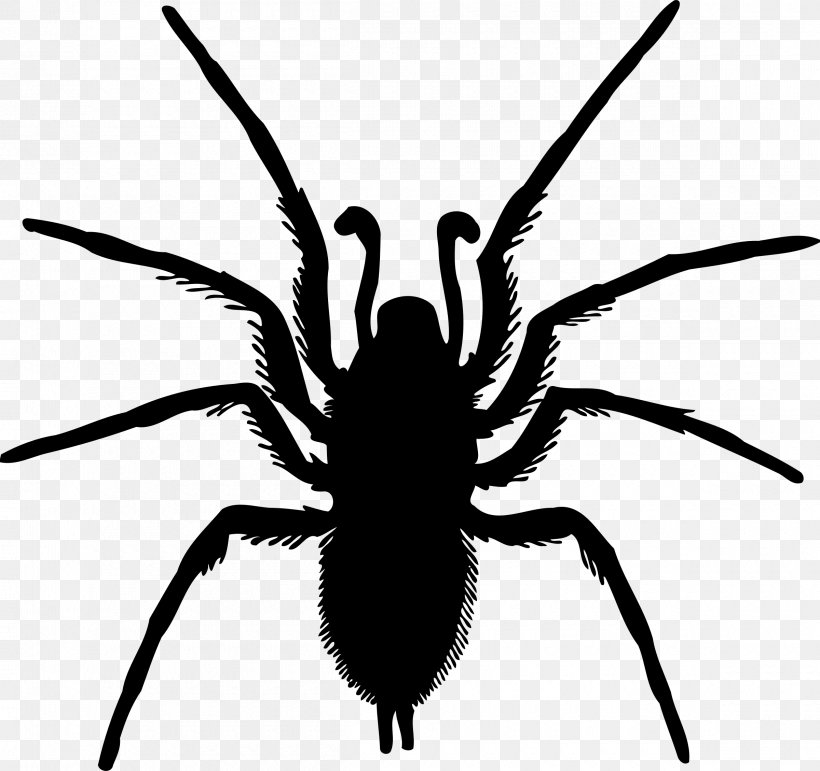 Spider-Man Clip Art Drawing, PNG, 2400x2259px, Spider, Arachnid, Araneus, Art, Arthropod Download Free