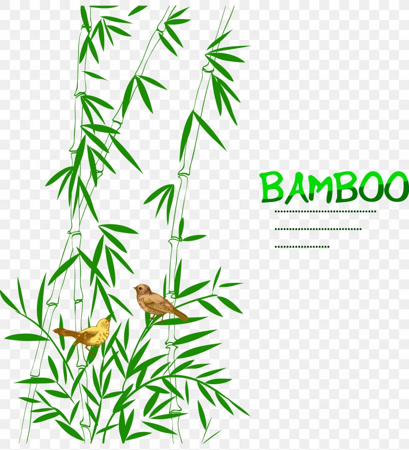 Bamboo Bird Drawing Trees, PNG, 2316x2550px, Bamboo, Area, Bamboe, Bird, Drawing Download Free