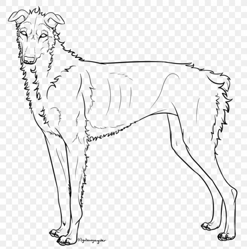 Dog Breed Line Art White, PNG, 889x898px, Dog Breed, Artwork, Black And White, Breed, Carnivoran Download Free