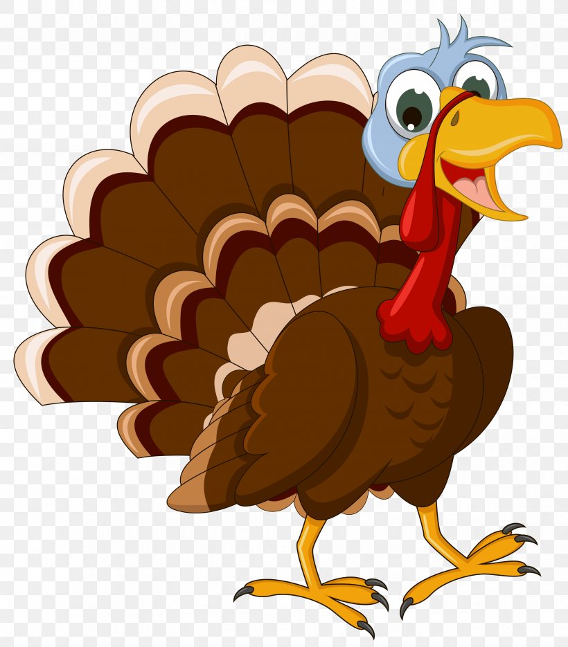 Turkey Cartoon Clip Art, PNG, 3507x4000px, Thanksgiving, Beak, Bird, Cartoon, Chicken Download Free
