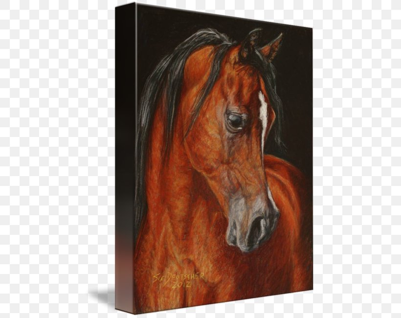 Arabian Horse Mane Mustang Stallion Halter, PNG, 473x650px, Arabian Horse, Bridle, Craft Magnets, Face, Halter Download Free