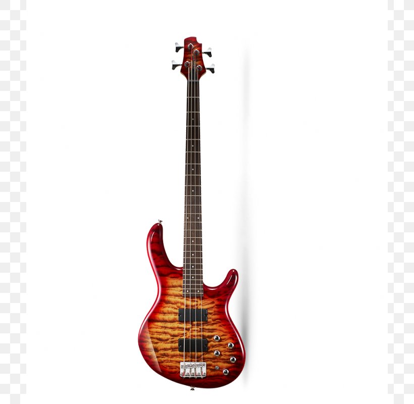 Fender Stratocaster Bass Guitar Electric Guitar ESP Guitars, PNG, 800x800px, Watercolor, Cartoon, Flower, Frame, Heart Download Free