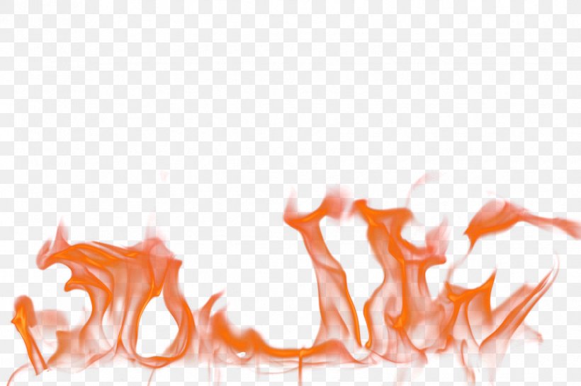 Flame Fire Combustion, PNG, 1728x1152px, Flame, Combustion, Conflagration, Designer, Fire Download Free
