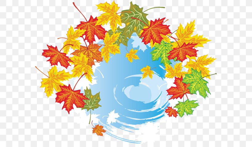 Maple Leaf Autumn Leaves Clip Art Graphics, PNG, 595x480px, Maple Leaf, Abscission, Autumn, Autumn Leaves, Branch Download Free