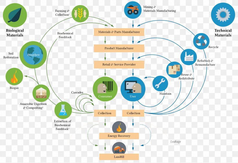 Circular Economy Ellen MacArthur Foundation Sustainability Sustainable Development, PNG, 2776x1900px, Circular Economy, Area, Brand, Business, Business Model Download Free