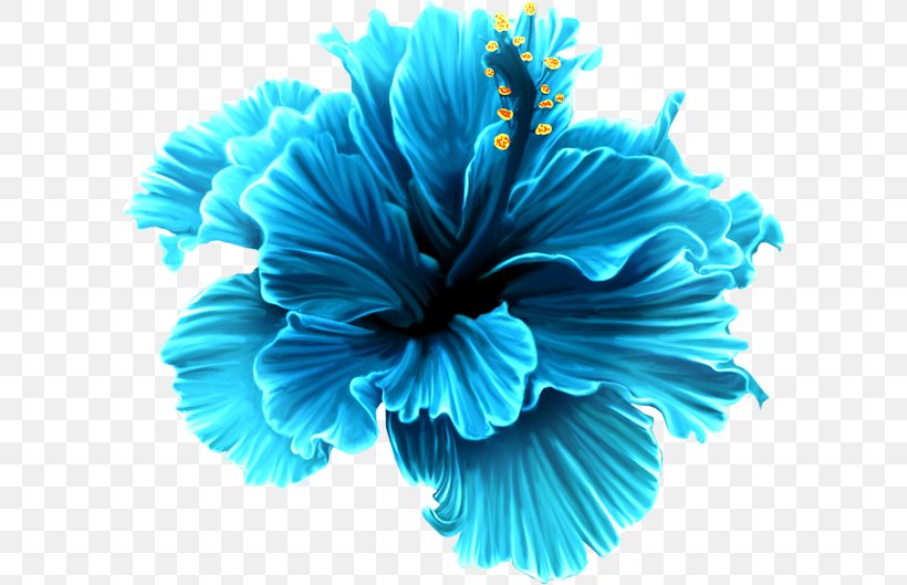 Flower Rose Clip Art, PNG, 600x529px, Flower, Aqua, Blue, Blue Rose, Electric Blue Download Free