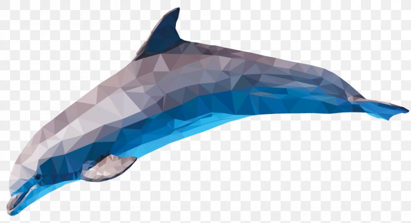 Common Bottlenose Dolphin Short-beaked Common Dolphin Tucuxi Rough-toothed Dolphin, PNG, 1000x542px, Common Bottlenose Dolphin, Bottlenose Dolphin, Dolphin, Fin, Fish Download Free