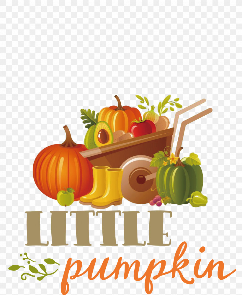 Little Pumpkin Thanksgiving Autumn, PNG, 2189x2675px, Little Pumpkin, Autumn, Avocado, Cooking, Dried Fruit Download Free