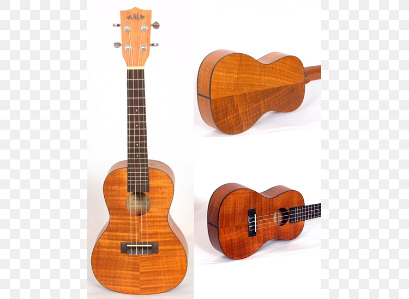 Ukulele Acoustic Guitar Cuatro Tiple Cavaquinho, PNG, 600x600px, Watercolor, Cartoon, Flower, Frame, Heart Download Free