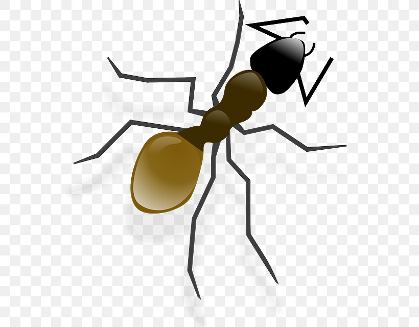Ant Clip Art, PNG, 564x640px, Ant, Animation, Arthropod, Artwork, Drawing Download Free