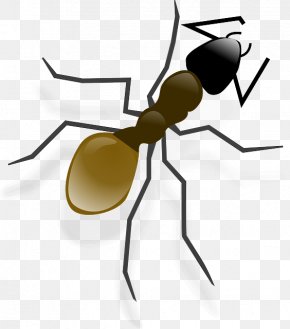 Leafcutter Ant Atta Cephalotes Clip Art, Png, 900x760px, Ant, Arthropod 