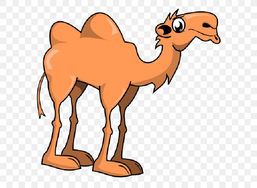 Bactrian Camel Cartoon Clip Art, PNG, 600x600px, Bactrian Camel, Animal Figure, Animation, Arabian Camel, Art Download Free