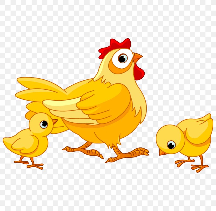 Chicken Image Royalty-free Vector Graphics Clip Art, PNG, 800x800px, Chicken, Art, Beak, Bird, Cartoon Download Free